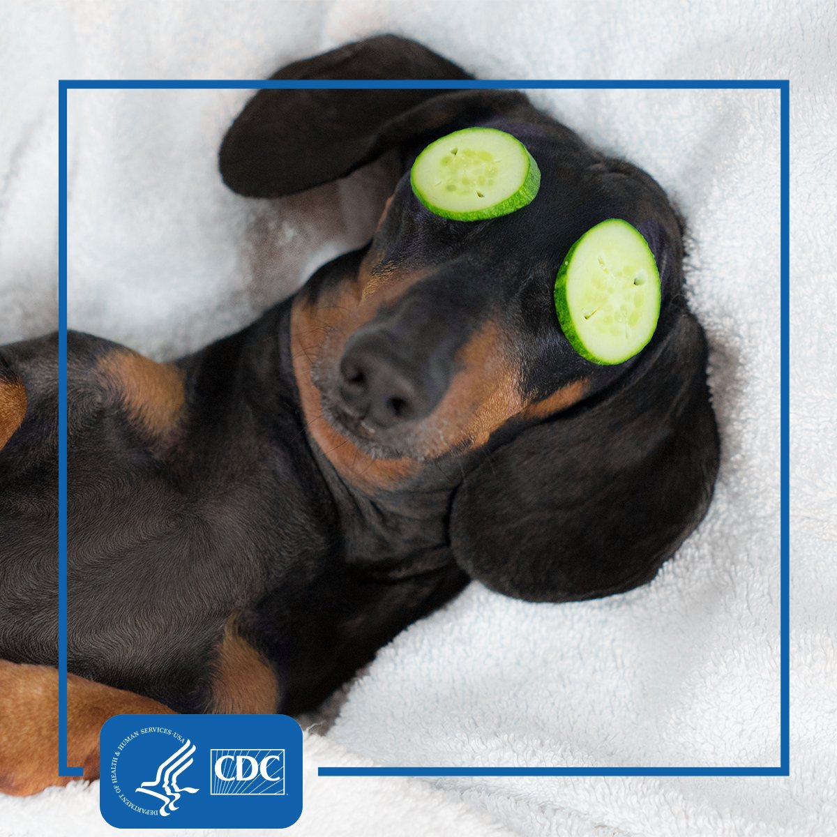 CDCDiabetes's tweet image. Better workouts = better 😴.
 
Not only can physical activity help manage blood sugar, it can help you sleep better too! Learn more about the benefits of #GettingActive: bit.ly/2DcPCxh