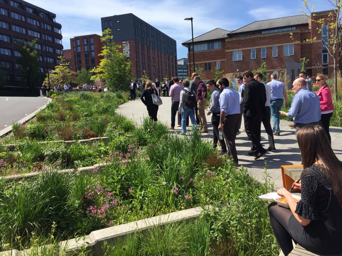 Marvellous placemaking and #suds at #greytogreen in Sheffield #SuDSSource