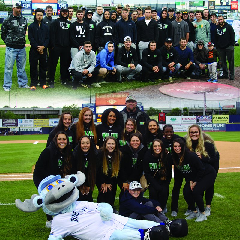 WilmUAthletics's tweet photo. #WilmUBaseball and #WilmUSoftball were honored at the @WilmBlueRocks game last night for each team winning the #CACC Tournament in the last couple of weeks! #LetsGoCats! #ThanksRocky! @WooHooCelery would have a field day at a Cats' game! https://t.co/gbVtyy02H5