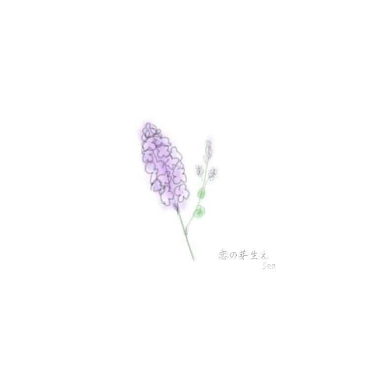 See らいらっく 恋の芽生え 花 お花 らいらっく ライラック 紫 むらさき 恋の芽生え いらすと イラスト イラスト好きな人と繋がりたい