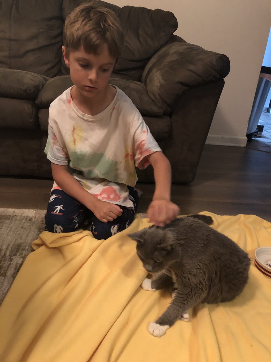 panda_jennings's tweet photo. I do not consider myself a huge animal lover & have never been very attached to my pets. However, today we had to say goodbye to our cat after 19years. It has been one of the hardest things I have ever had to do. #kittyrose https://t.co/K9vpVBhfqB