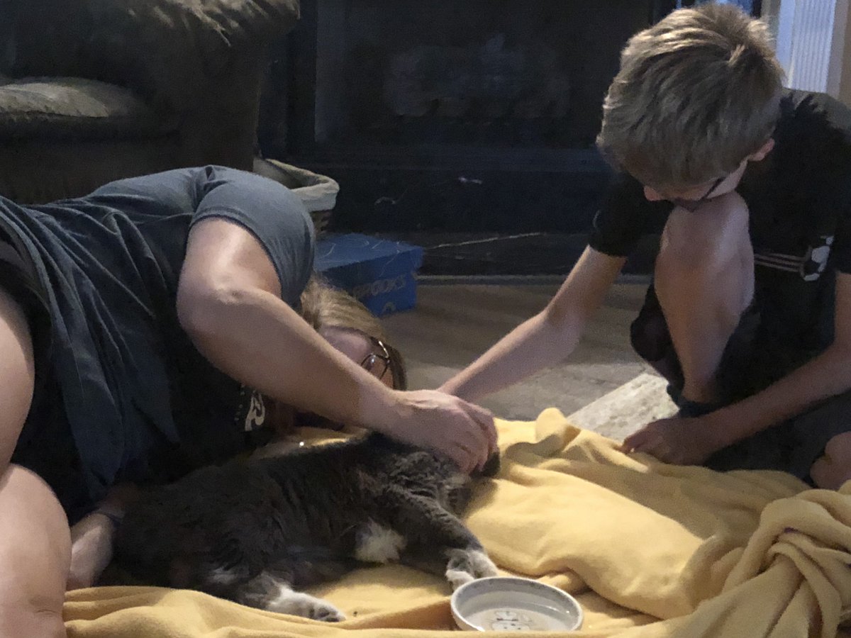 panda_jennings's tweet photo. I do not consider myself a huge animal lover & have never been very attached to my pets. However, today we had to say goodbye to our cat after 19years. It has been one of the hardest things I have ever had to do. #kittyrose https://t.co/K9vpVBhfqB