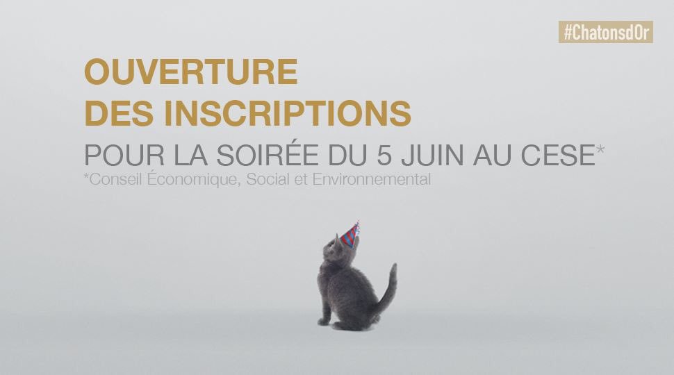 Les inscriptions pour la grande soirée <a href="/Chatonsdor/">Les Chatons d'Or</a> sont open! C’est gratuit, inscription obligatoire il n’y aura pas de place pour tout le monde!@LaurentAllias <a href="/FollowJosiane/">Josiane</a> <a href="/Paloma_BSaliege/">PalomaBidaultSaliège</a> <a href="/Sunglasses_fr/">Sunglasses</a> @CultureRP <a href="/Strategies/">Strategies</a> <a href="/CB_News/">CB News</a> <a href="/unpotedanslacom/">jaiunpotedanslacom</a> 
weezevent.com/les-chatons-d-…