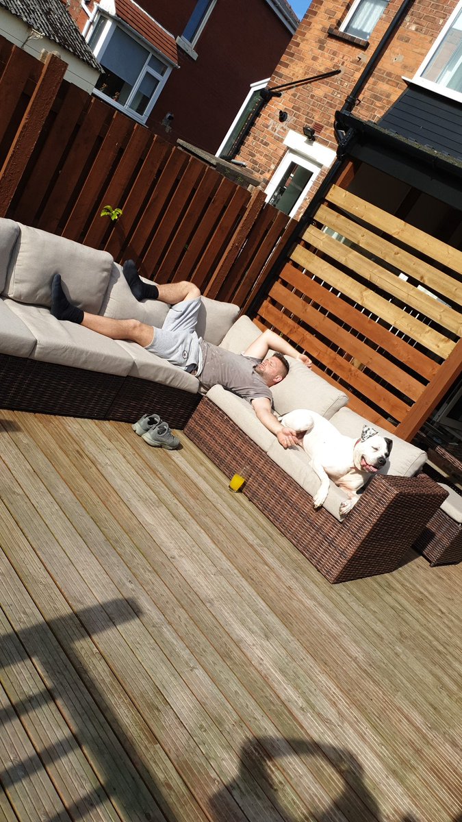 Life of riley these two. #chilling #dogslife 💖🤣💖