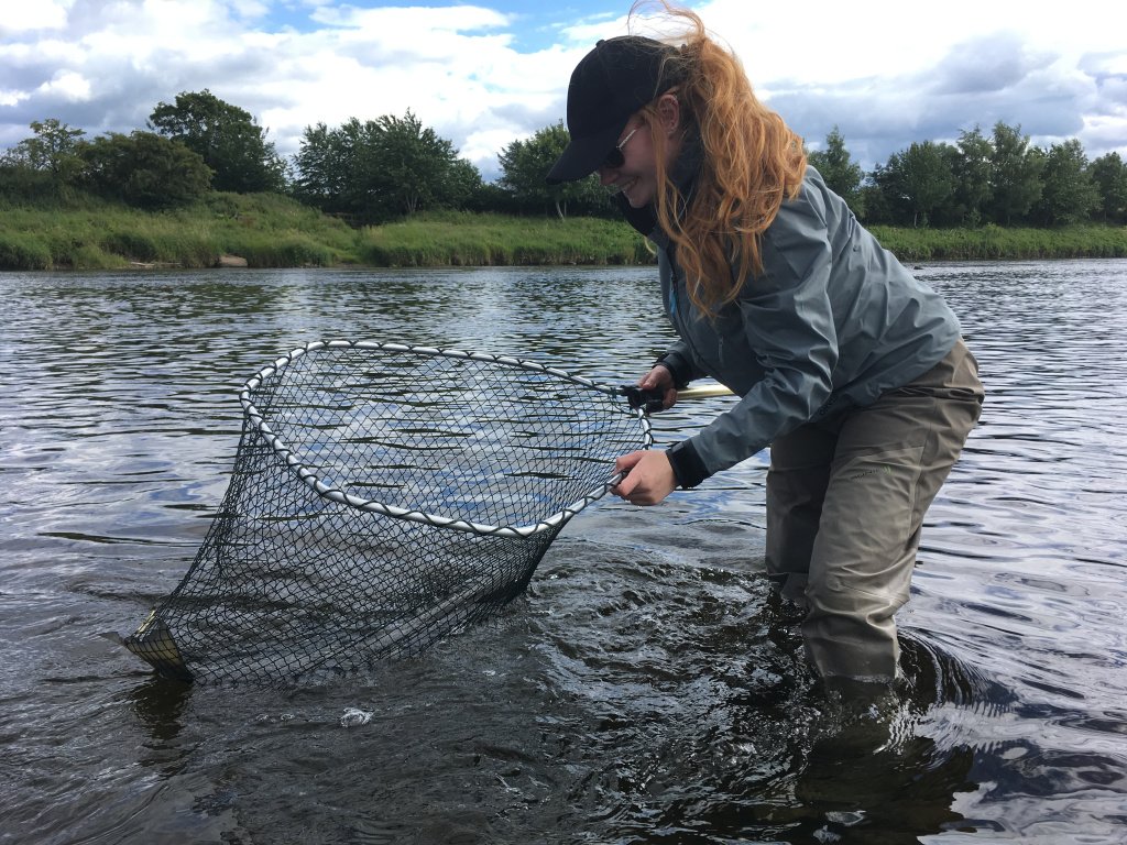 FishTweed1's tweet photo. Hendersyde Fishing https://t.co/Nfa886csWj https://t.co/gV6a2rmiOa