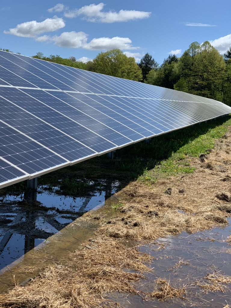 Mrs. Tagliaferro tweet media