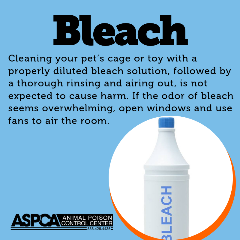 ASPCA_APCC's tweet photo. After cleaning with bleach, please dispose of unused or dirty solutions, and clean and put away cleaning tools like mops. If you have questions about the appropriate application of a product, please contact your veterinarian or the manufacturer before use. #petsandspringcleaning https://t.co/vodzhP4TrY