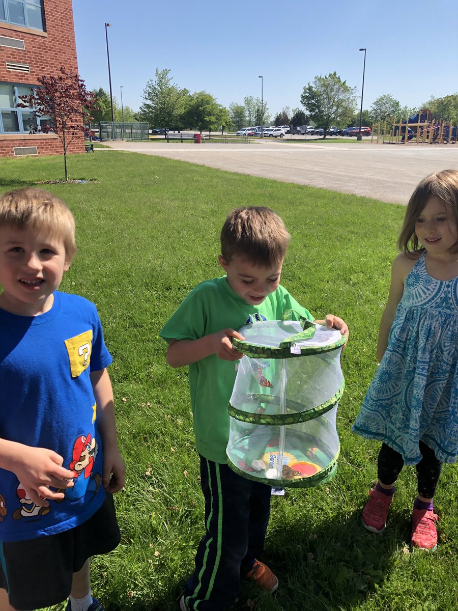 Saying goodbye to our butterflies! 🦋🦋 Fly free! #butterflylifecycle #shrewsburystrong