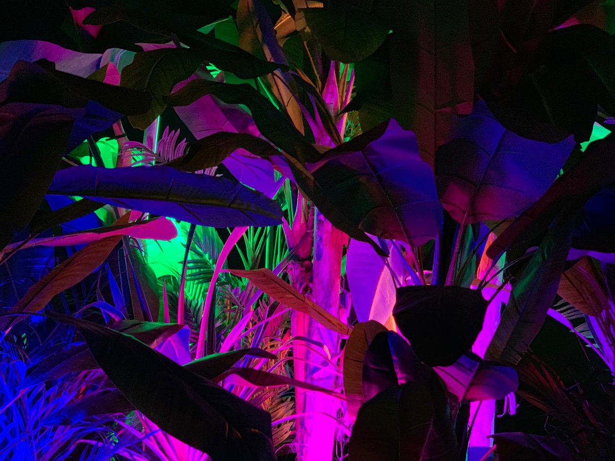 AX1 ASTERA Tubes Available Now At ChilliCheeze! BOOK NOW!!
.
.
.
#AsteraLights #Tubes #BookNow #Hire #ChilliCheezeStudios