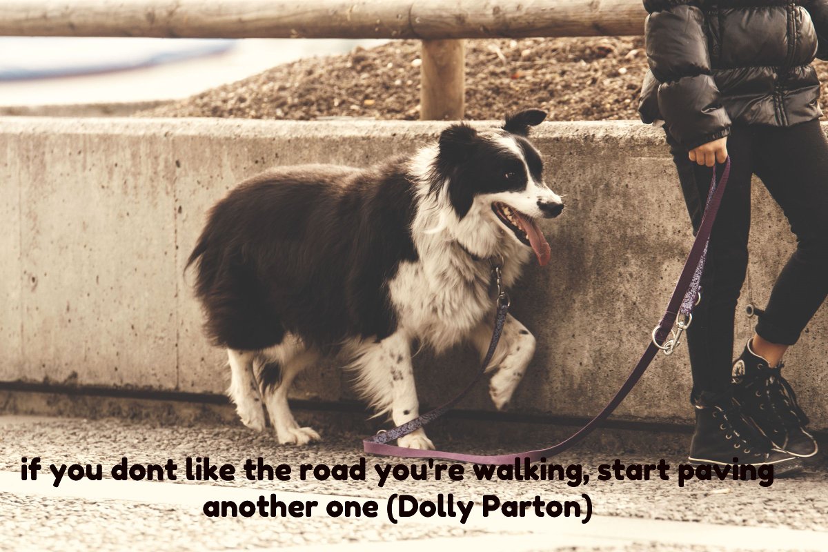 TheCleverBadger's tweet photo. Wednesday words to live by
#dollyparton #inspirationalwords #thecleverbadger
https://t.co/Aur0y1fSCg https://t.co/s8qQFMsnBa