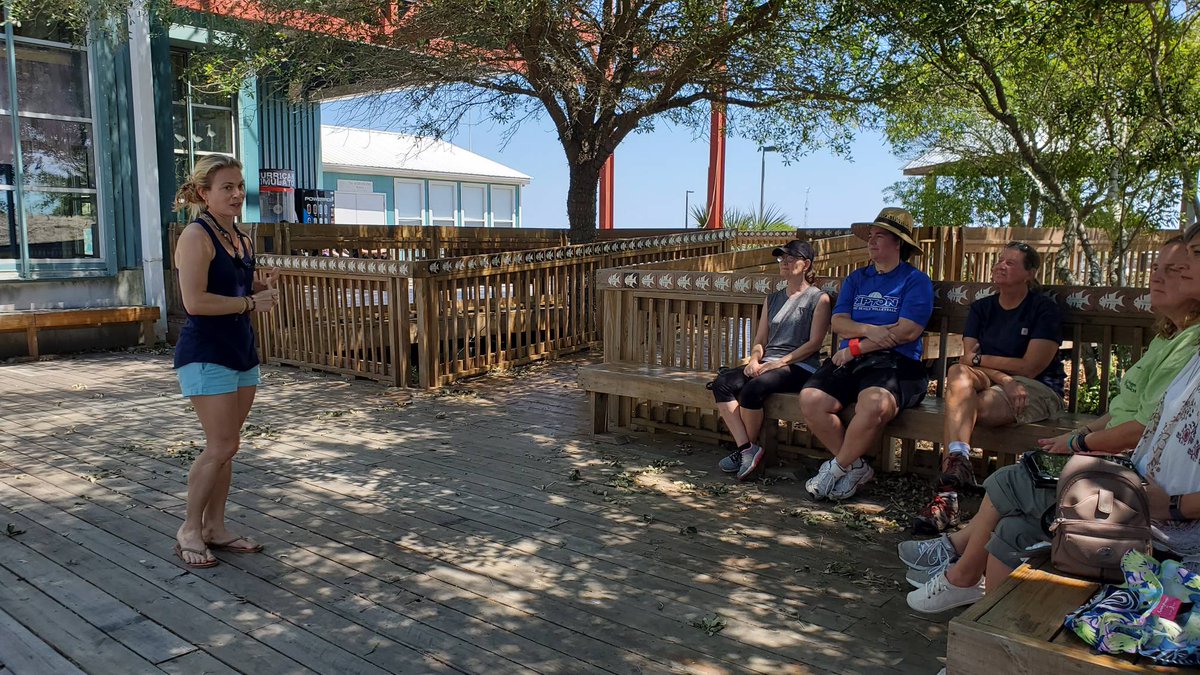 disealab's tweet photo. Dr. Elizabeth Bevan of the @alabamacoastal hosts today's Boardwalk Talk. #sharethebeach #boardwalktalk https://t.co/KAFNjTGWow https://t.co/toZRQMf36x