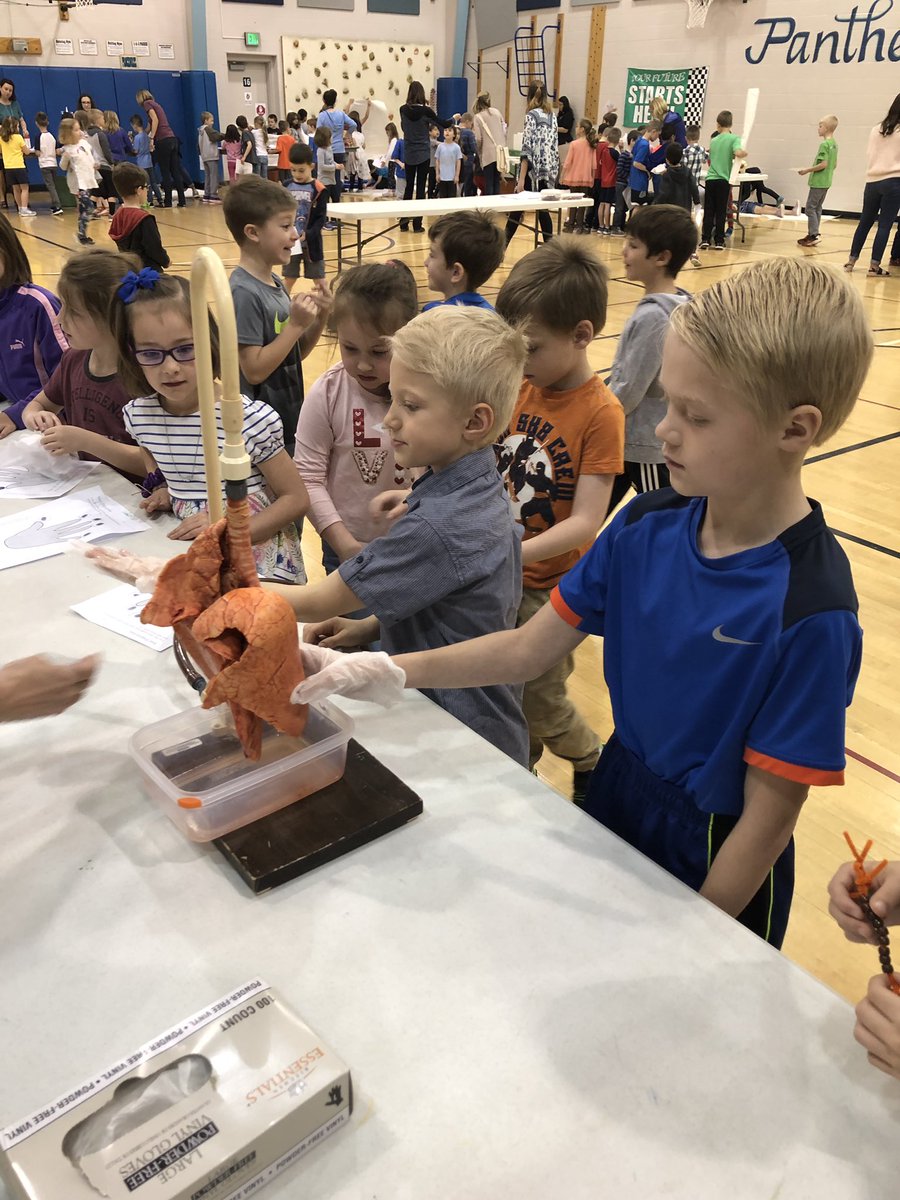 Learning about the amazing human body at our Health Fair with  <a href="/Science_Central/">Science Central</a> Stations about the skin, bones, lungs, and more! <a href="/AESPanthers/">Aboite Elementary</a> 🖐🏼💀🧠👁👂🏼❤️