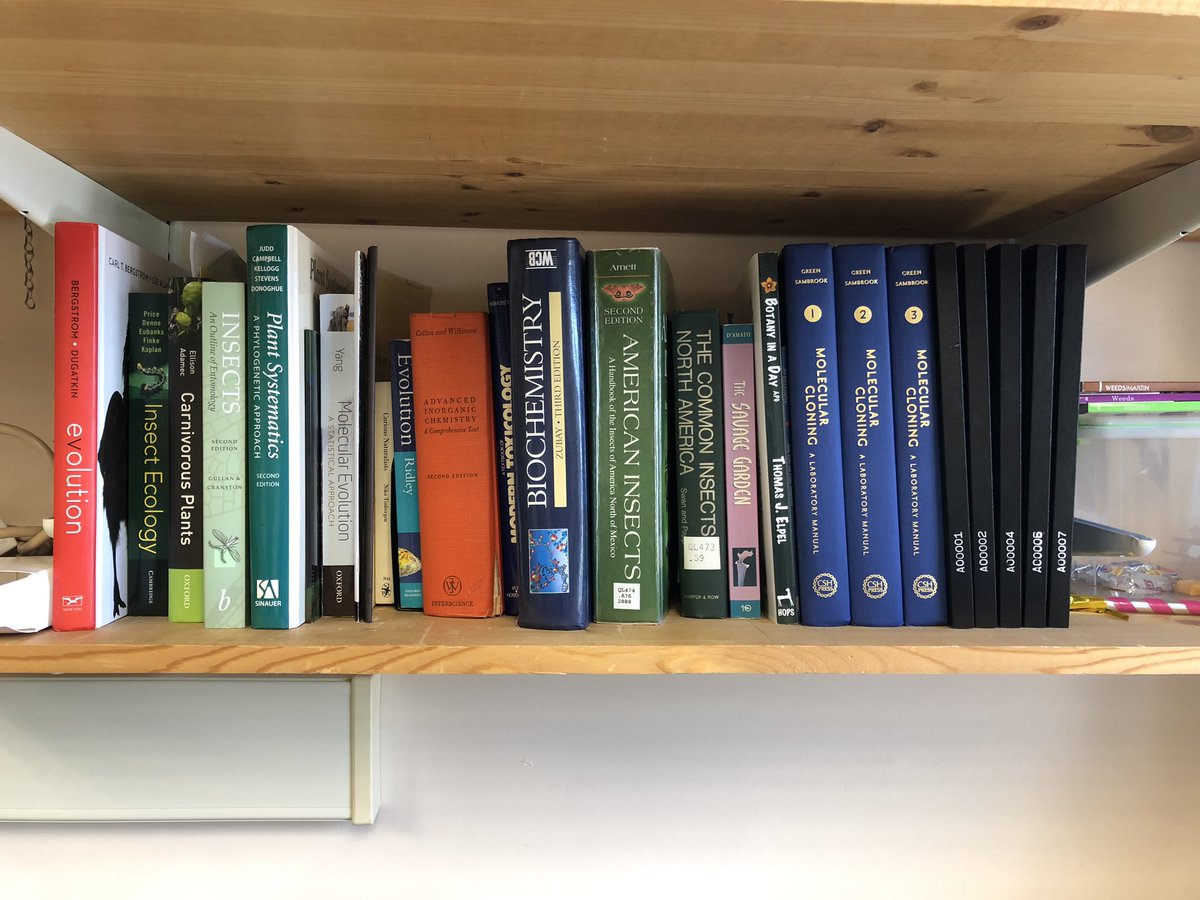 kyliebocklund's tweet photo. The #RennerLab library is really coming along! ๐ @TanzRenner https://t.co/O6zQXrqMd2