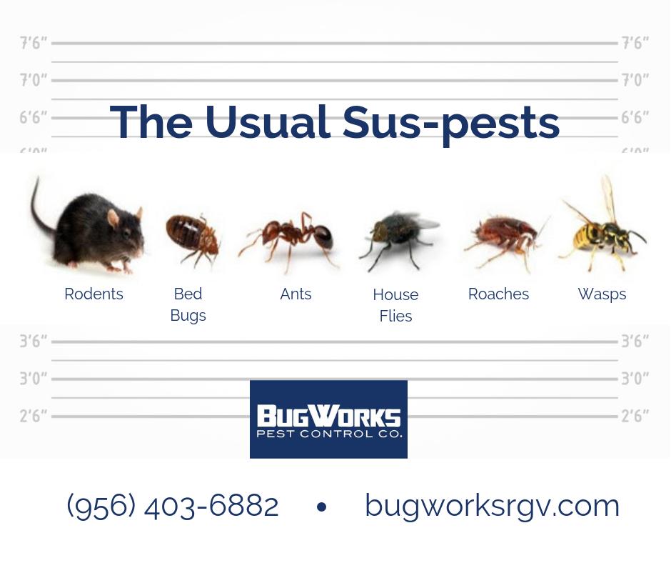 BugWorksRGV's tweet image. Valleywide service, No contracts, 2-month warranty, and Eco-friendly formula... are only a few of the reasons you should call BugWorks to service your home or business! 

bugworksrgv.com