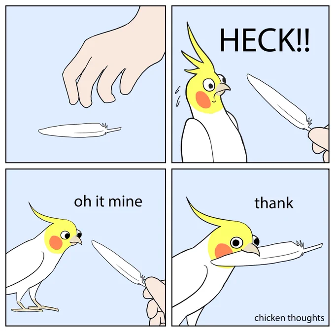#birb 