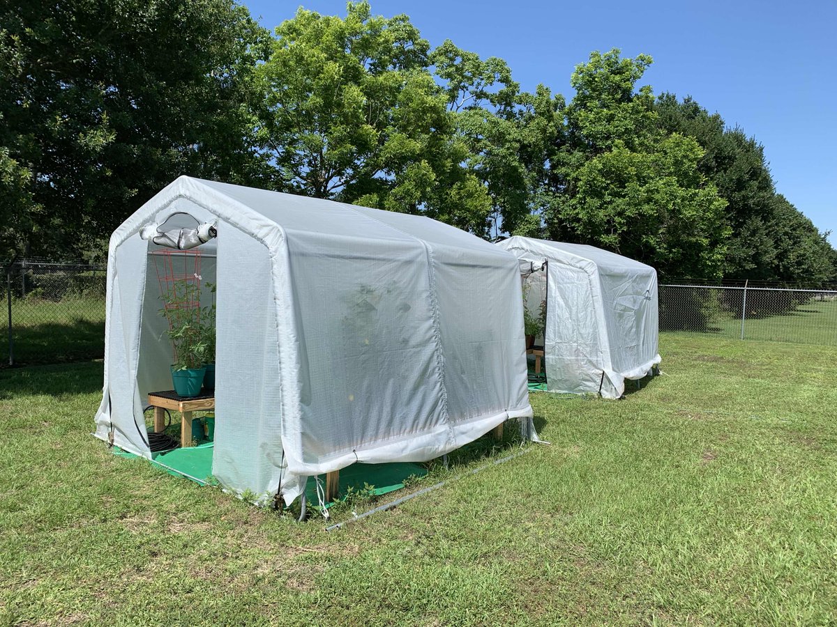 Reef_Industries's tweet photo. We bought a greenhouse frame, applied our material and well look at our results... #ReefQuality #Only6Weeks https://t.co/zUcGfdWwEJ