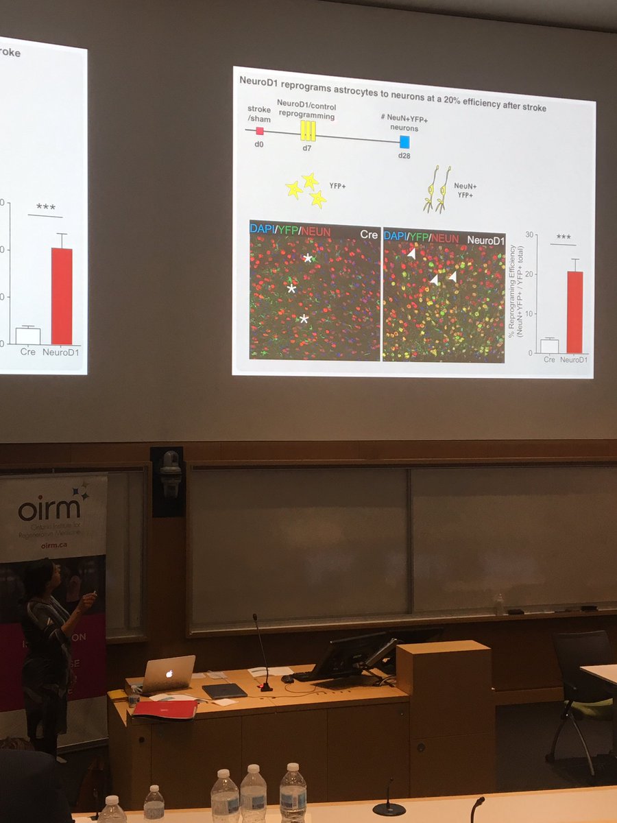 Emilanocyte's tweet photo. Exciting cellular reprogramming work from an amazing colleague, friend and mentor, Dr. Maryam Faiz at the #OIRMSymposium https://t.co/8uLqc7IoXV