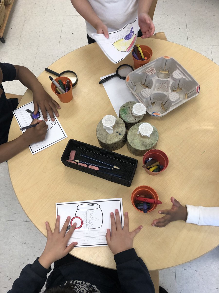 Ms. Mazzulla tweet media