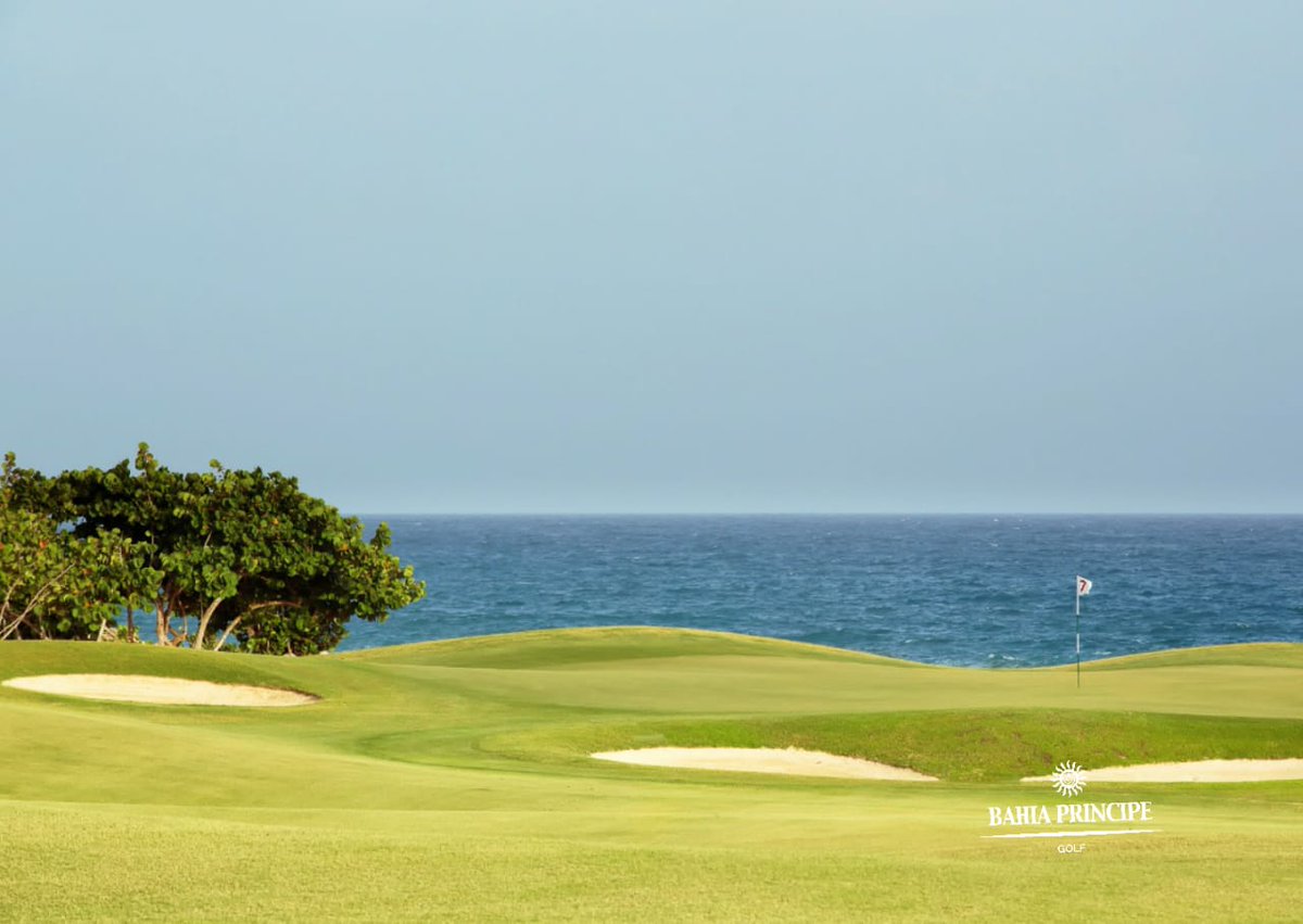 Ocean's 4 Golf tweet media