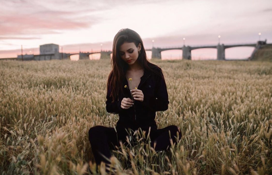 Do you ever just sit alone in the middle of an empty field with bugs  everywhere and ponder the beauty of a dandelion? Me either, but I like this  pic. ;), image size:1125x722