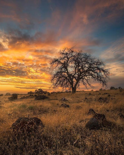 Bidwell_Pizza's tweet photo. An awe-inspiring shot of #UpperPark. We suggest you get out there and hike, then hit us up for a rewarding pizza. ๐| PC: promasterphoto #BidwellParkPizza #ChicoCA https://t.co/iRAY0Jhe2c