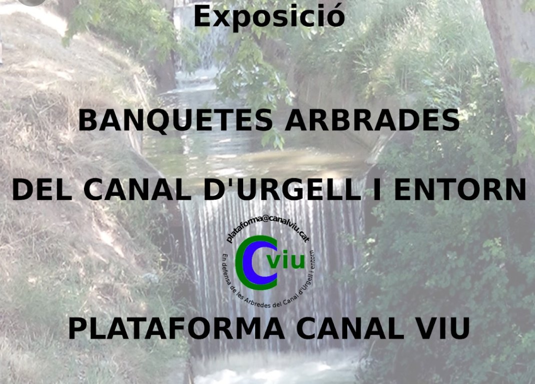 ADPN La Banqueta de Juneda tweet media