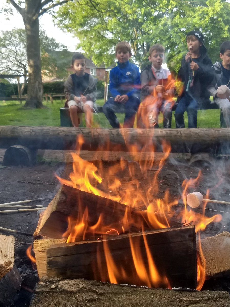 WhitegateBeech tweet media