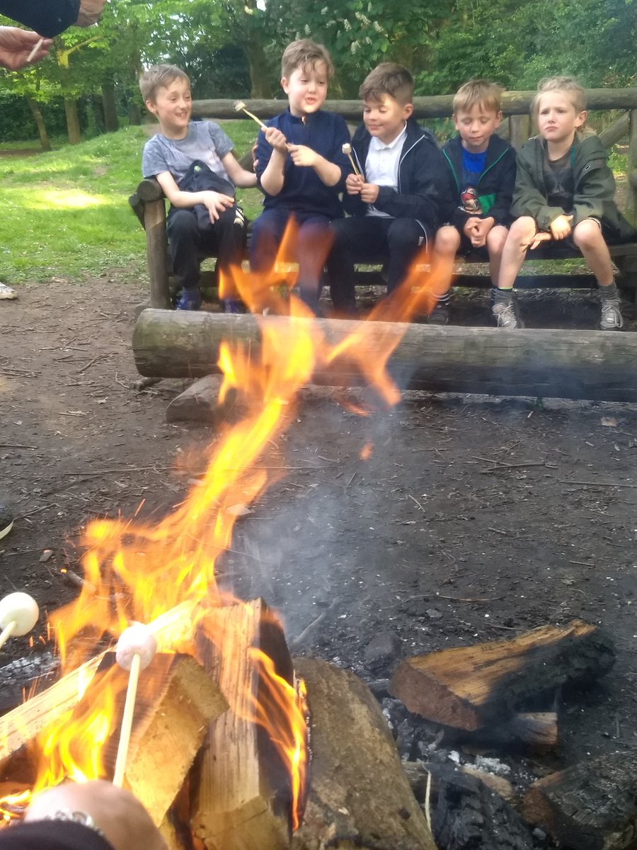 WhitegateBeech tweet media