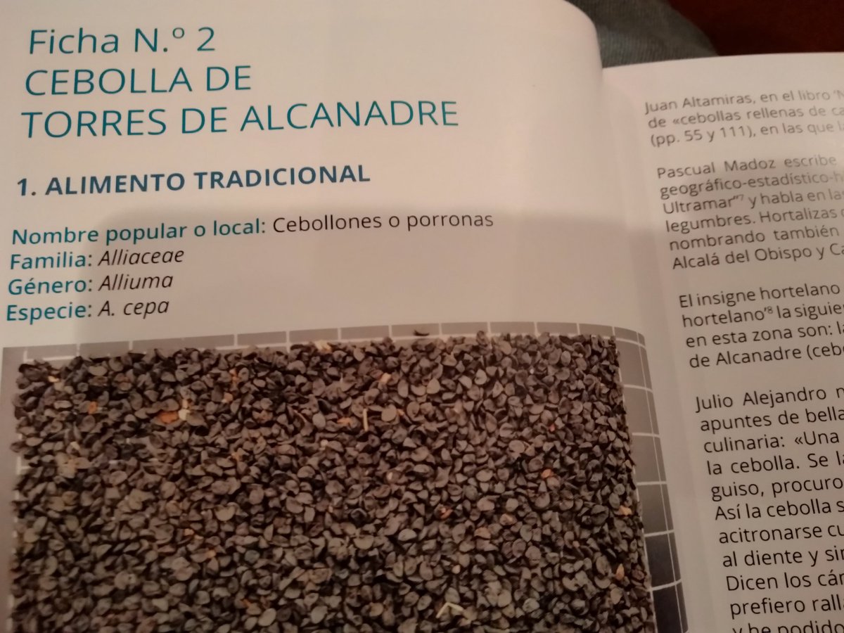 sevegodina's tweet photo. . @JuanAltamiras citado en el libro de Ismael Ferrer un homenaje a los insignes hortelanos y hortelanas y un guiño a los/as cocineros/as @BosqueHabitado @hec_toret @javierre_es https://t.co/4gRtAjXScb