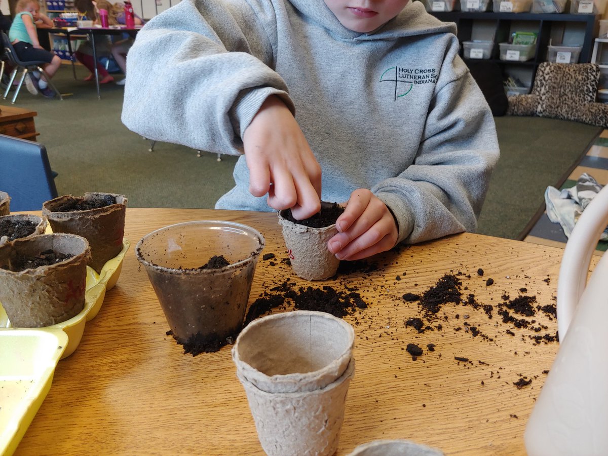 Ready, set, grow! Anxious to watch God's creation in action. #HCLSIndy #HCLSteach