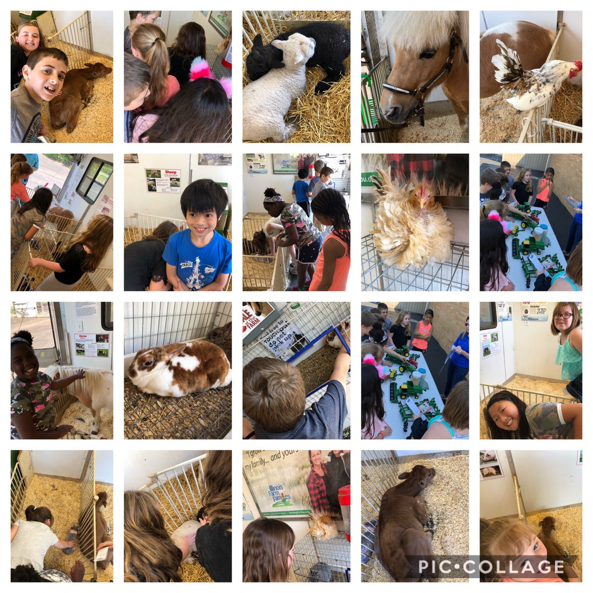 Marissa Lofgren tweet media