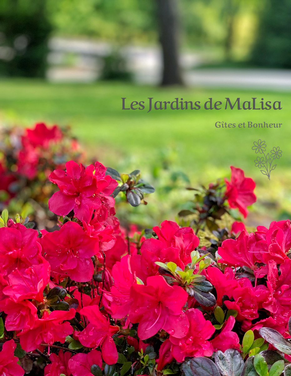 malisa_les's tweet photo. 🌺#lesjardinsdemalisa #ouvertureJuin2019 #comingsoon #prochainement #orne #bassenormandie #bassenormandietourisme #gîtes #gîte #maisondhotes #ornepurenormandie #jardin #flowertherapy #ferrierelaverrerie #courtomer #normandie_tourisme #weekendennormandie #azalee #ornetourisme 🌺 https://t.co/BqhWOqN2mU