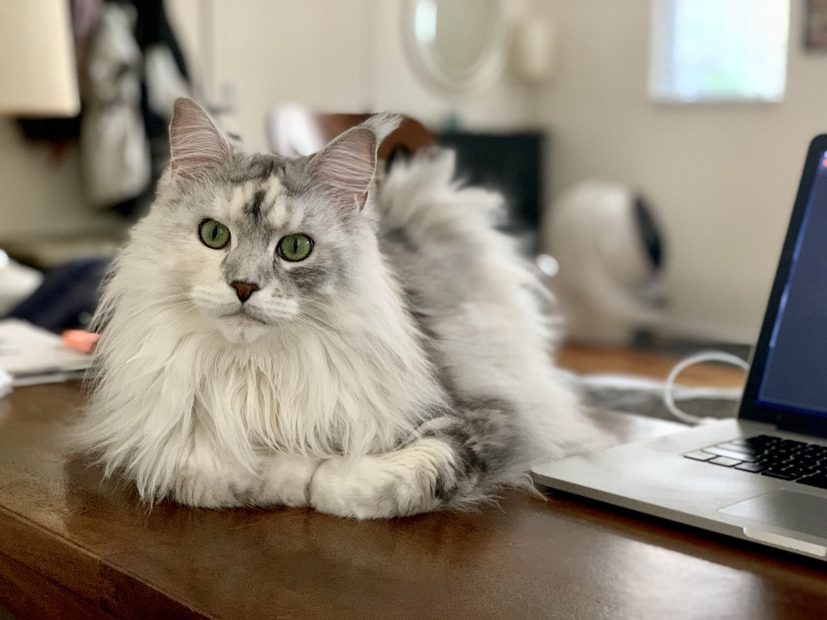 chrswng's tweet photo. coworking https://t.co/yKk9pLSBmK