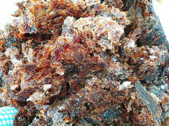 Ice clarifying a garum made from the frames and heads of 20 red mullet, pulp from juicing a Crown Prince pumpkin, a handful of semi dried tomatoes and our homegrown spelt koji.
Funky. 🐟🍅🎃👃🏻
•
 #blanchandshock #camberwell #southlondon #artichokemews #… bit.ly/2JGbC9X