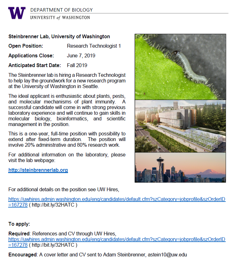 ADSteinbrenner's tweet photo. The lab is hiring a research technologist to start with me at UW this fall.  Join us in Seattle to work on plants, immune receptors, and herbivorous+pathogenic pests!  Apply by June 7, please RT https://t.co/Fhgsobnyfi https://t.co/jzzuK1gv7M