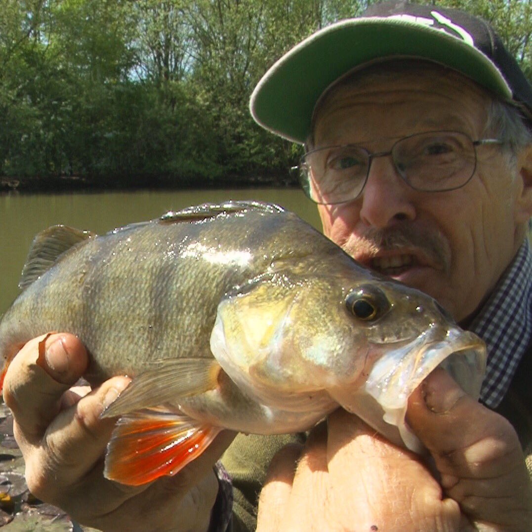 TAFishing tweet media