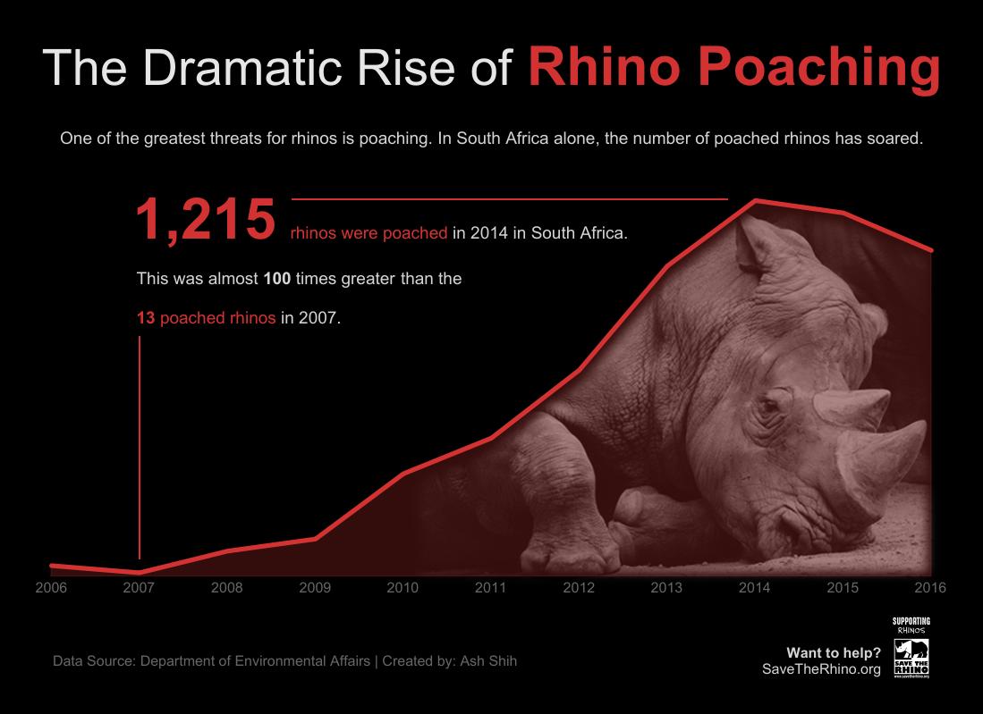 AshShih's tweet photo. The Dramatic Rise of Rhino Poaching.
#SaveTheRhino #SouthAfrica #HelpingRhinos #DataViz 
https://t.co/rhONQHMZjE 

Thank you to @TriMyData and @HighVizAbility for #MakeoverMonday #MMVizReview feedback in improving this viz. https://t.co/czcQJsl8dQ