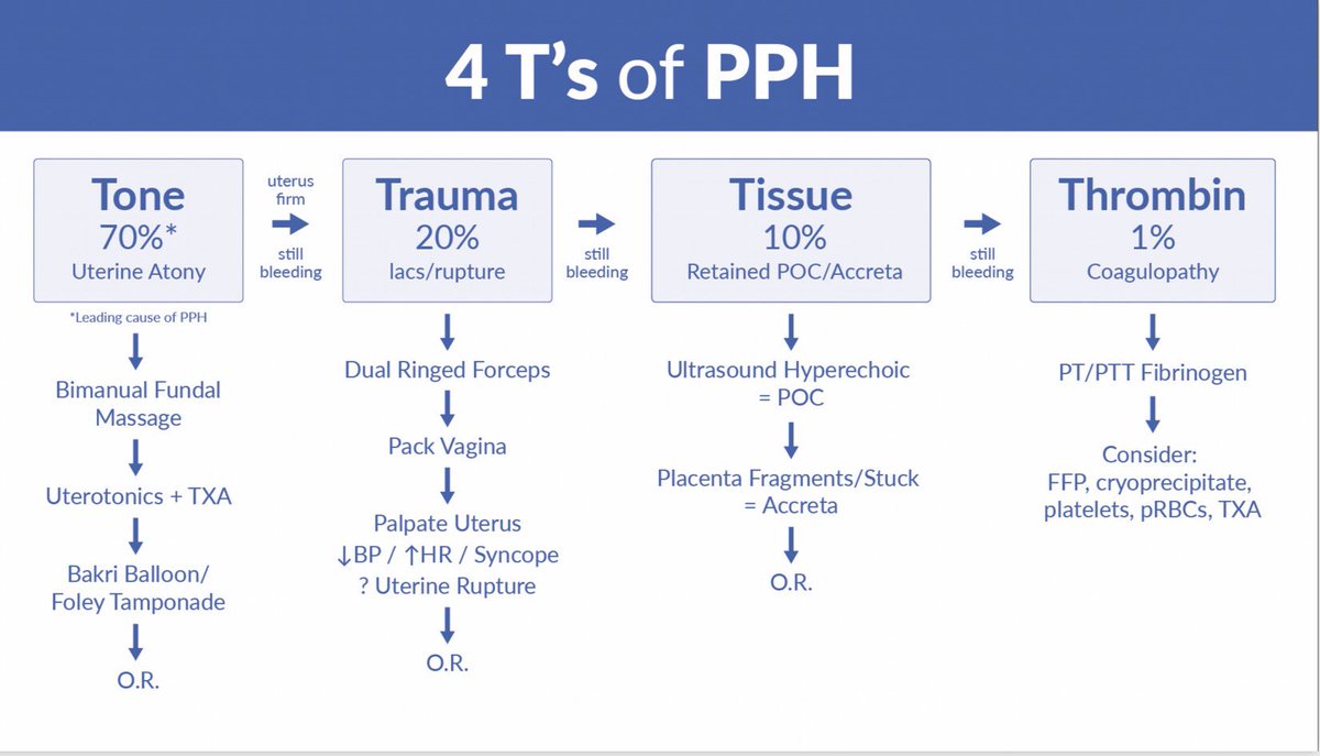 Mizuho M Morrison Thx To The Fabulous Dr Megan Jones Ob Gyn For Reviewing The 4t S Of Postpartum Hemorrhage For Us Saving This Algorithm In My Phone Protips Bimanual Fundal