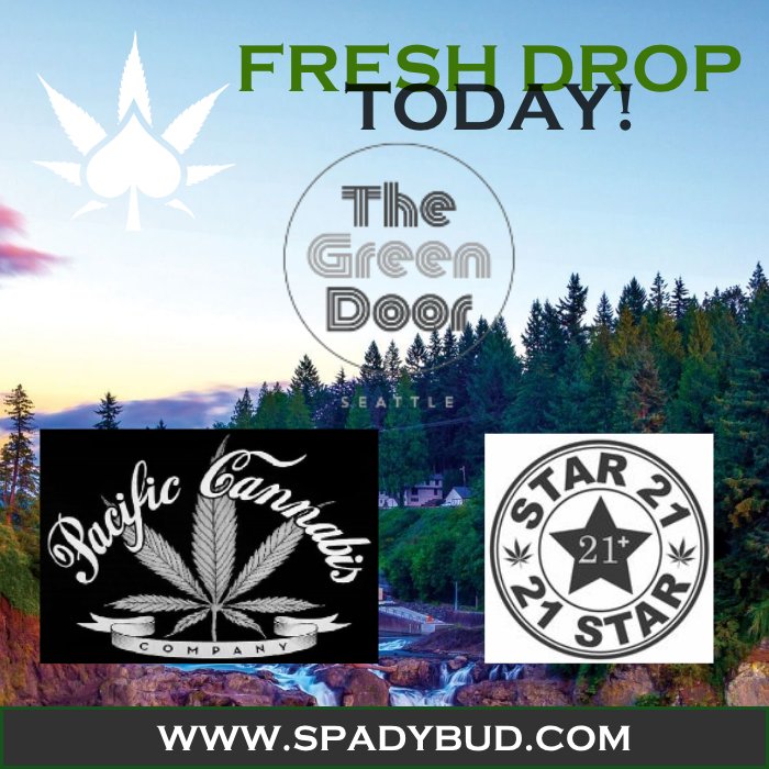 #FreshDrop TODAY at <a href="/TheGreenDoorSea/">TheGreenDoorSeattle</a> + <a href="/PacCanCo/">Pacific Cannabis</a> + #Star21International #SpadyBud #BestQualityGardens #BQGardens #BQG #ExperienceTheDifference #Natural #i502 #PNW #LegalWeed #Cannabis #Marijuana #MaryJane #Ganja #KushArmy #StonerNation #CraftCannabis #WeShouldSmoke #TopShelfLife