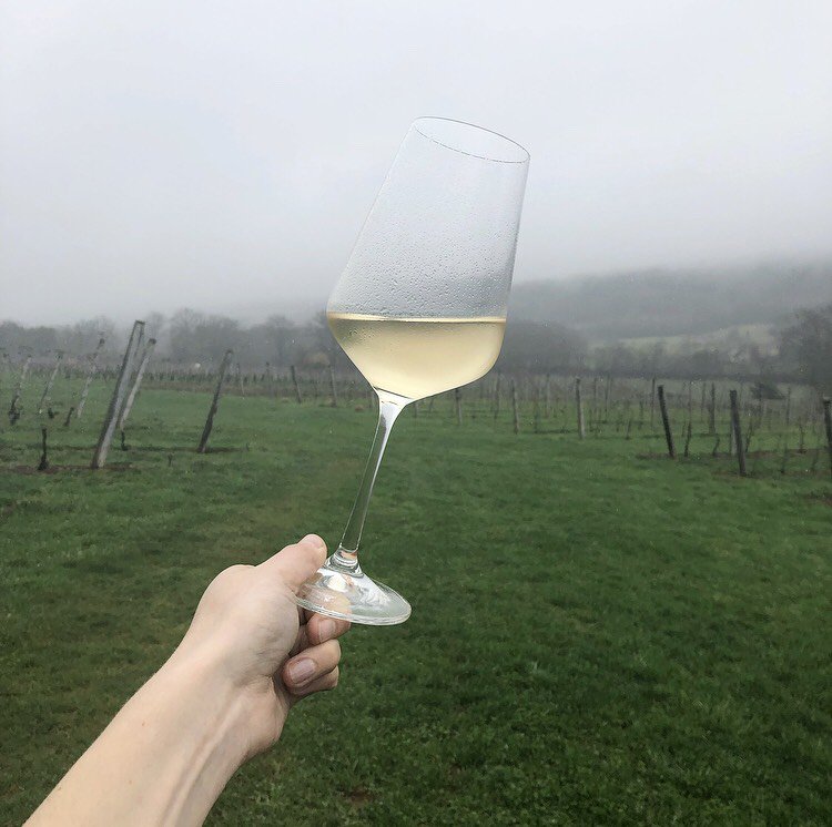 Benjamin_Bridge's tweet photo. For 8 years running, a telltale sign of spring for us has been sipping the new vintage of #TidalBay. Crisp, lean and full of energy, you can sip it on its own, or - like we will later this evening - pair it with some fresh Digby haddock and young veggies! #nswine #benjaminbridge https://t.co/wbIsLBPhaA