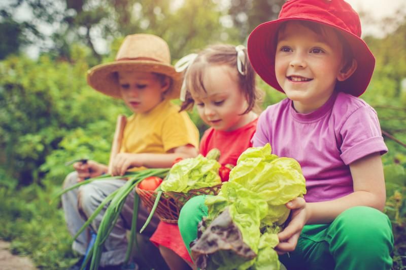 EcoParentMag's tweet photo. May is Holistic Nutrition Month! Help your child learn to connect to food in a holistic way in this article by #CSNN grad, Debora Palmieri! Share the health! @CSNN @debora_rhn #CelebrateHolisticNutrition #CSNNcelebrates25 #LearnToChangeLives https://t.co/DD55kXVHYi https://t.co/R8n6w6yBXg
