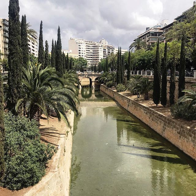 OlivettInterior's tweet photo. P A L M A looking 👌🏻 I could have strolled round the streets for hours...You can’t beat the feeling of exploring a new place with no real rush or agenda. https://t.co/fZY7NfqICT https://t.co/QLTJDuEcHt