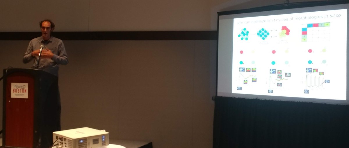 bioitx's tweet image. Limit cycles and I am thinking also computability of organ development in Zebrafish by @LeonardoMorsut met during lunch at 5th Single Cell Analysis  in Boston @OGConferences  #epigenetics #syntheticbio #systemsbio