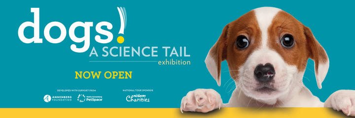 pet_partners's tweet photo. Live in the SoCal area? Let curiosity be your guide and discover life from a dog's point of view at the @casciencecenter's new special exhibition Dogs! A Science Tail. #forhumansonly #sniffoutthescience SAVE w/ code TREAT when buying tickets online @ https://t.co/ToiU2zF9O8 https://t.co/Vjou9LXs15