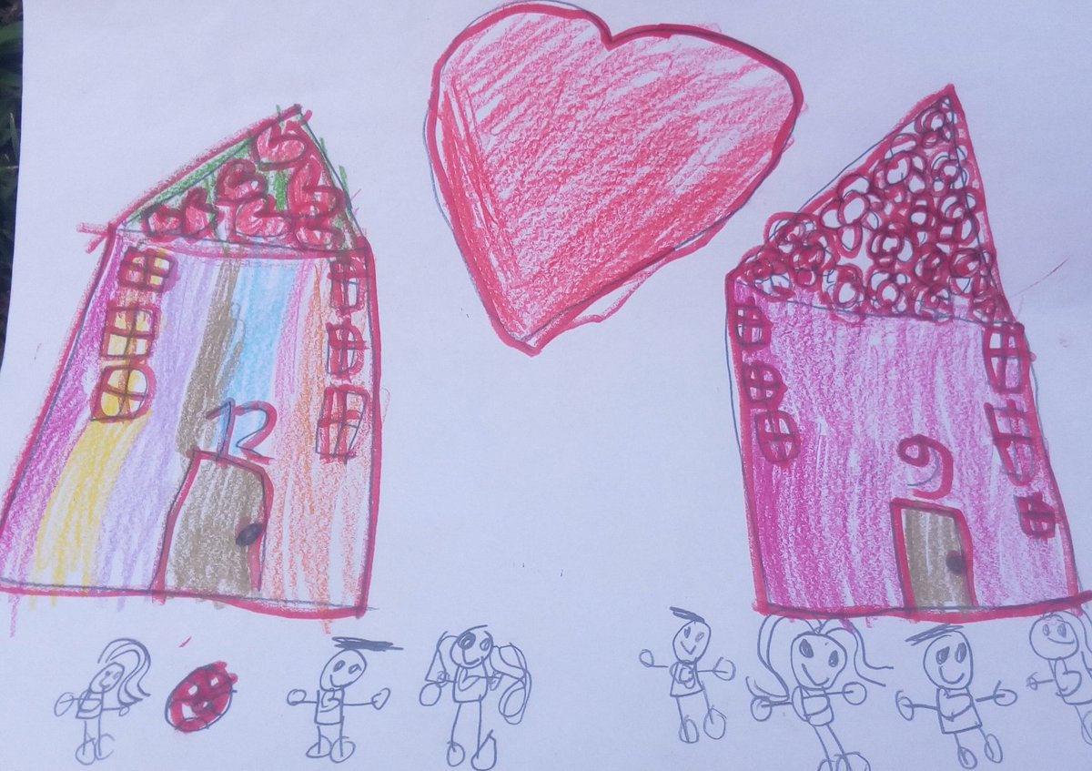 Erin McNulty tweet media