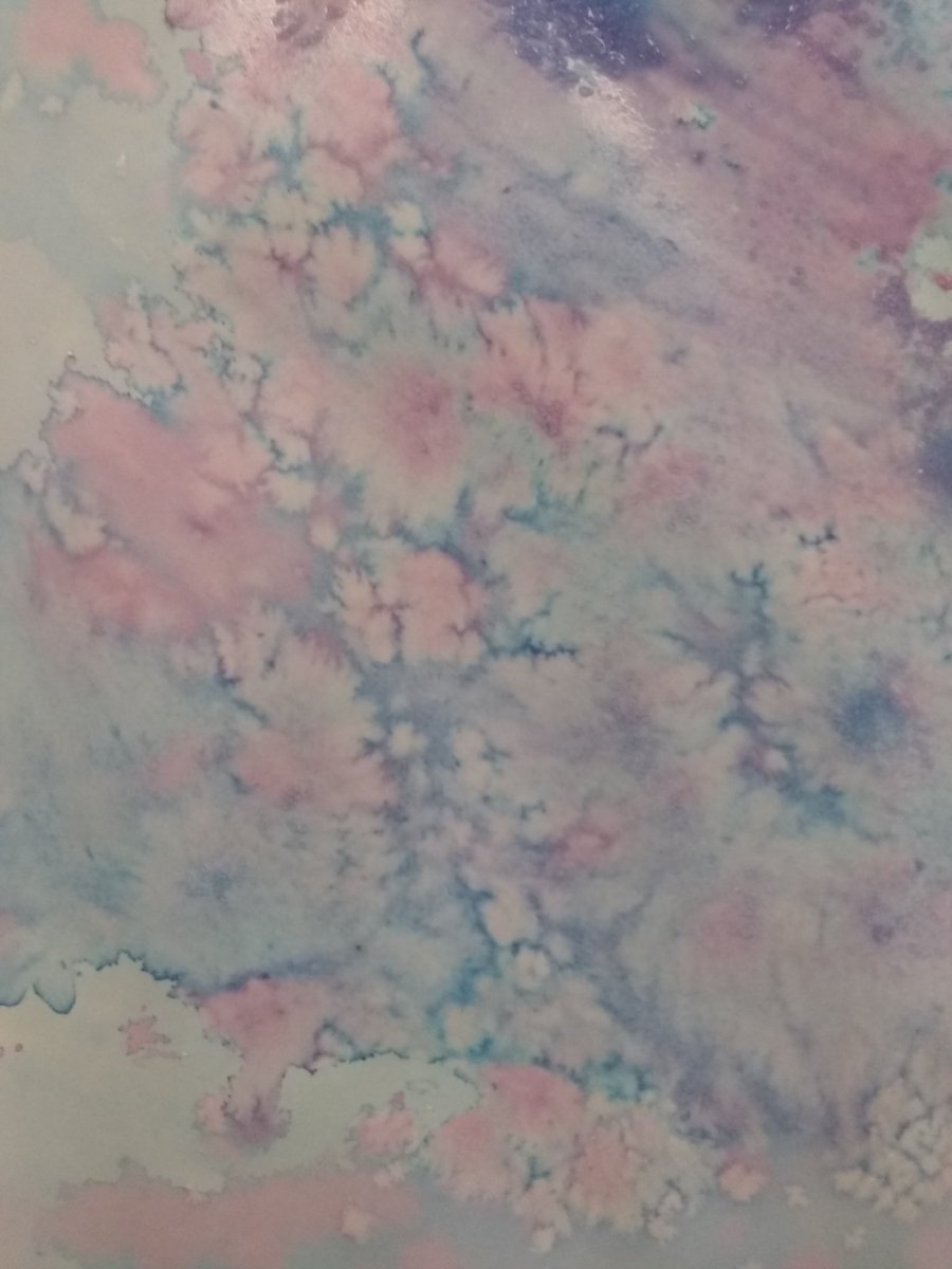 MsParksArts's tweet photo. Kinder thru 3rd grade learned about chemical reactions in art class today! Salt + watercolor is always exciting 😁 everyone's art turned out beautiful! #STEAMMCSS #AllMeansAllMCSS #k12artchat #whatifwednesday #art #Science #steam #watercolor @SuptMattMassey @MadCoSchools https://t.co/EtJSqDUk62