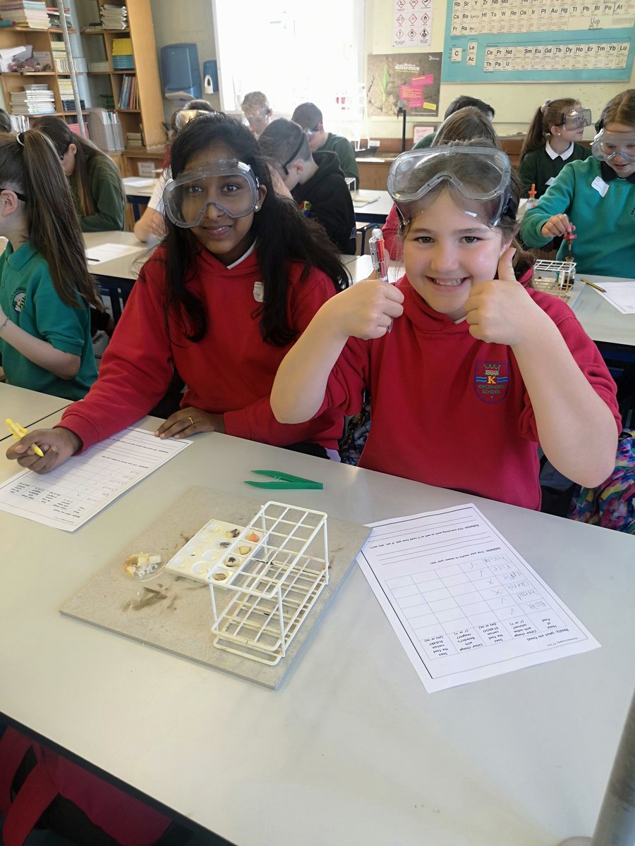 HHAcadScience's tweet photo. Happy P7's enjoying a little taster of Science today by carrying out some food tests 👩‍🔬👨‍🔬 #p7visit #cfescience https://t.co/gCh6HbDpXM