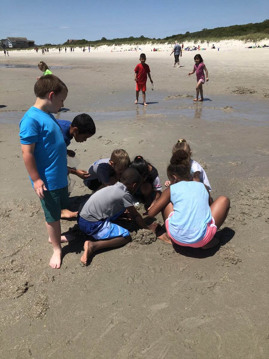 ourchiefsread's tweet photo. #Ourchiefsread took 89 second and third grade students to go he beach for Reading award! #HCSLIbraryMedia https://t.co/Hi05A7UOZI