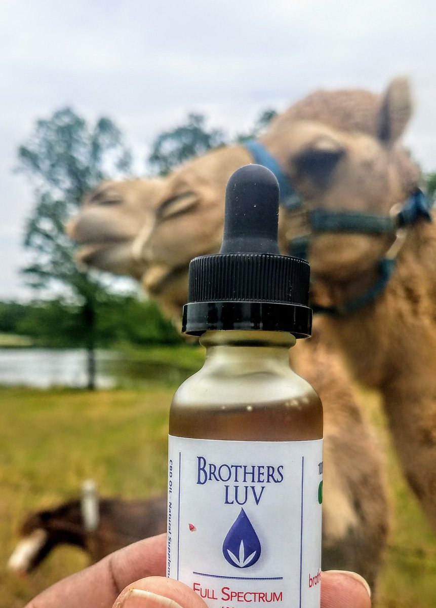 bfreecbd's tweet photo. We hope that your hump day is going well.
BrothersLUV CBD only available @bfreecbd
#MemphisCBD #BealestreetCBD #Lagos
#bestcbdcompany https://t.co/ZwNxKJOz4N