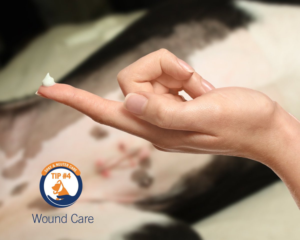 🐾Vetericyn🐾 tweet media